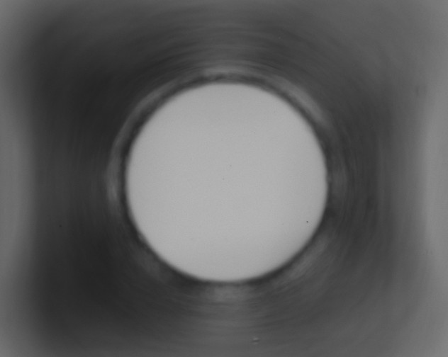 X0000101430832200807071003