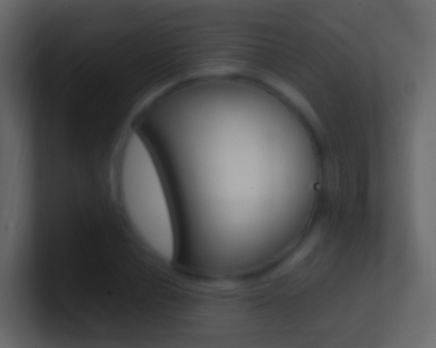 X0000101430834200807071003