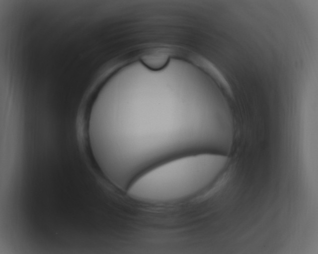 X0000101430835200807071003