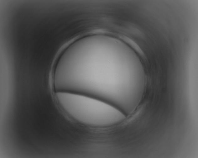 X0000101430839200807071003