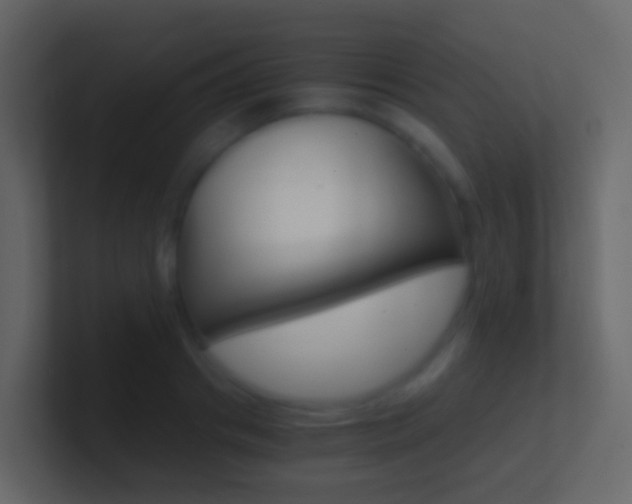 X0000101430841200807071003
