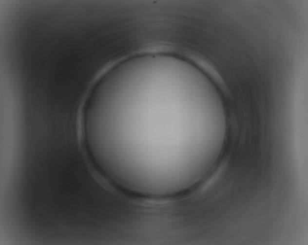 X0000101430842200807071003
