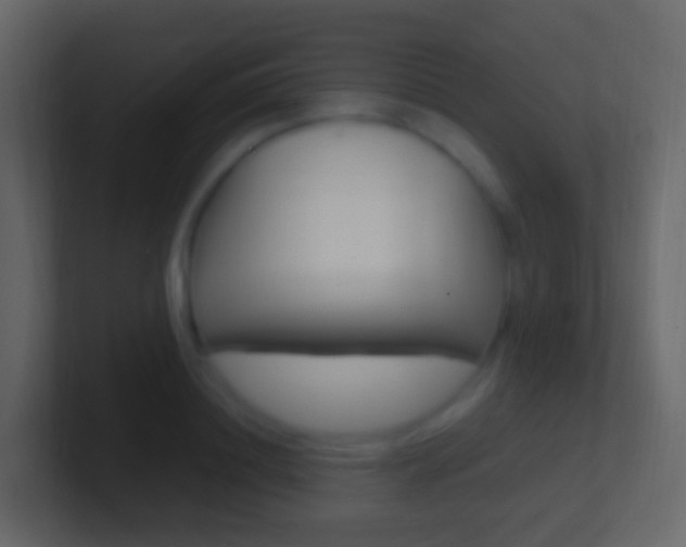 X0000101430844200807071003