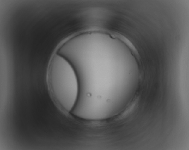 X0000101430847200807071004