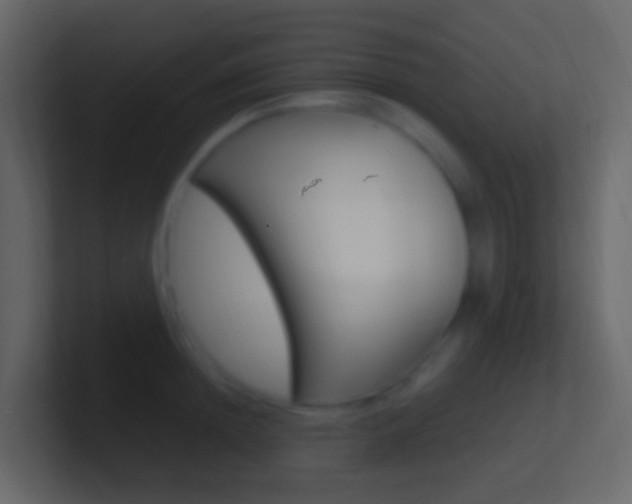 X0000101430852200807071004