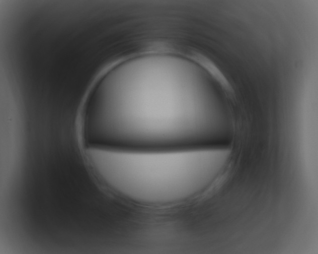 X0000101430854200807071004