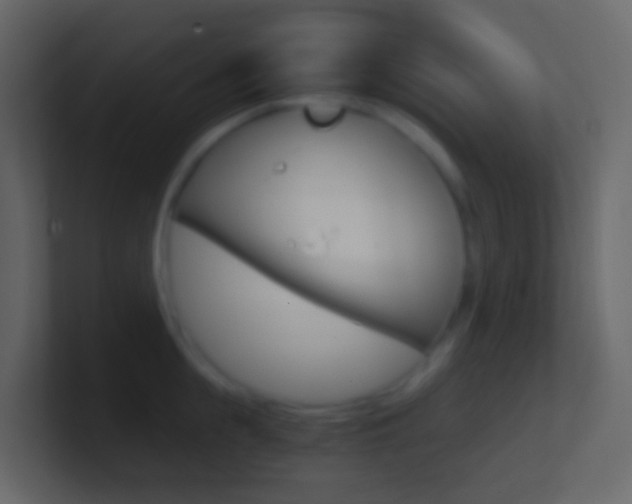 X0000101430855200807071004