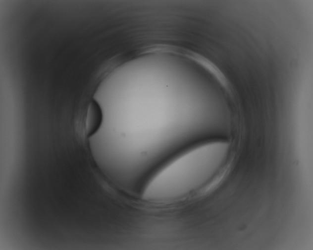 X0000101430857200807071004