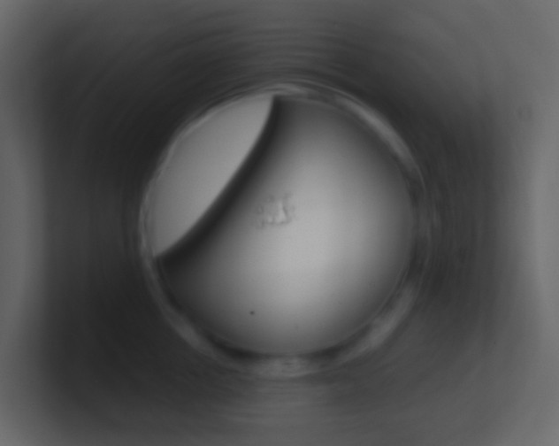 X0000101430858200807071004
