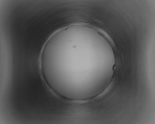 X0000101430860200807071004
