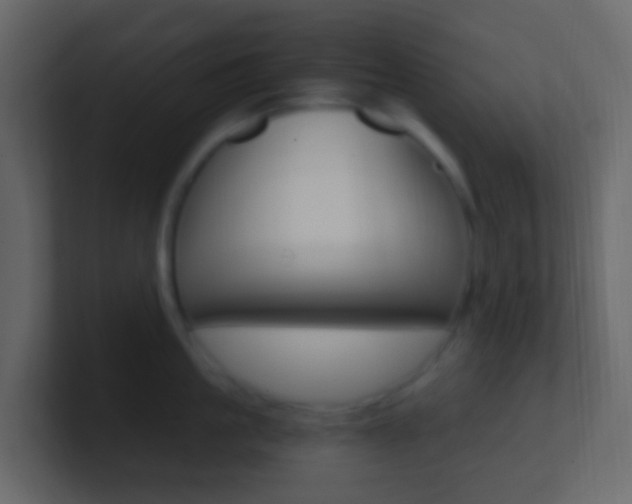 X0000101430861200807071004