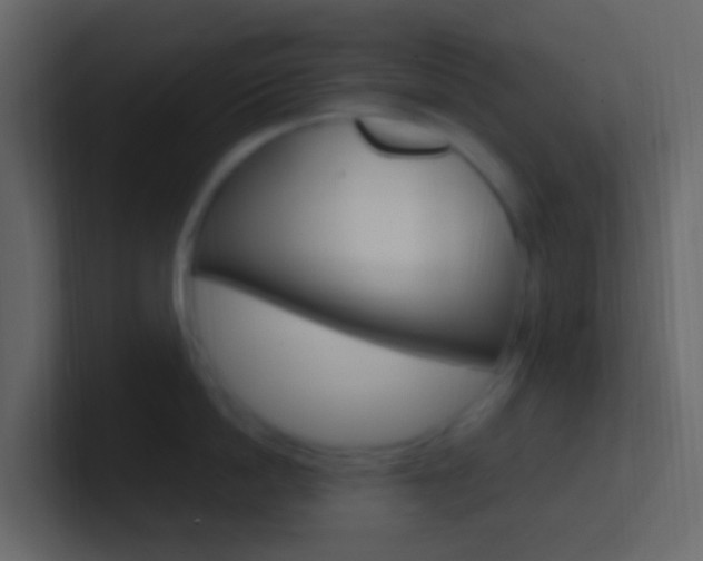 X0000101430862200807071004