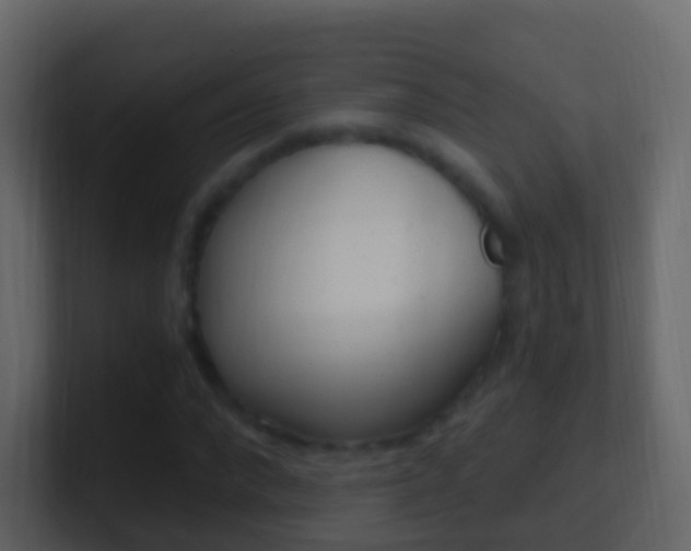 X0000101430872200807071003