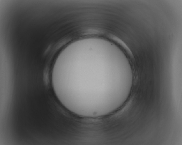 X0000101430874200807071003