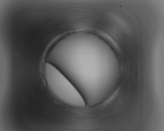 X0000101430875200807071003