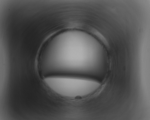 X0000101430876200807071003