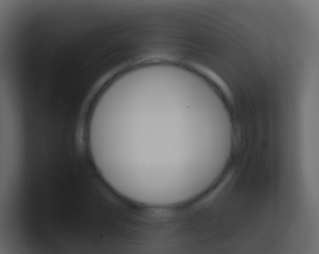 X0000101430878200807071003