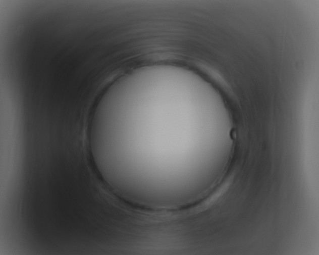 X0000101430881200807071003