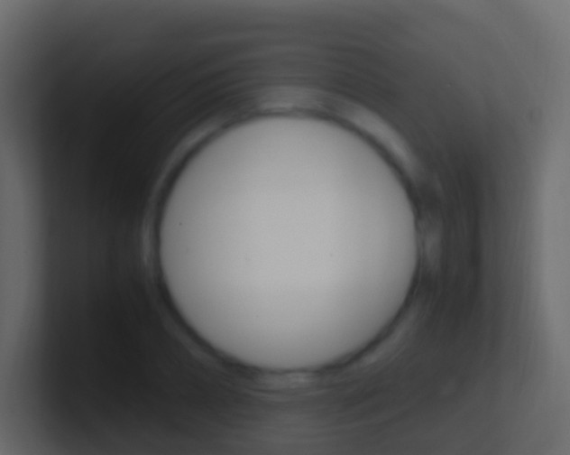 X0000101430882200807071003