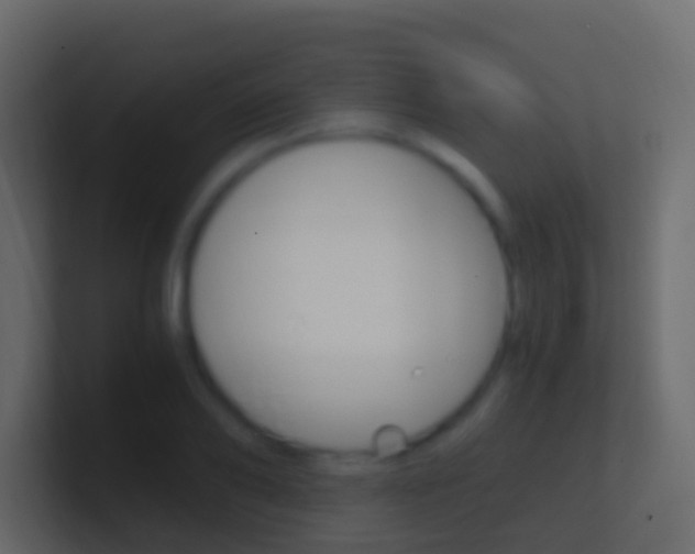 X0000101430886200807071003