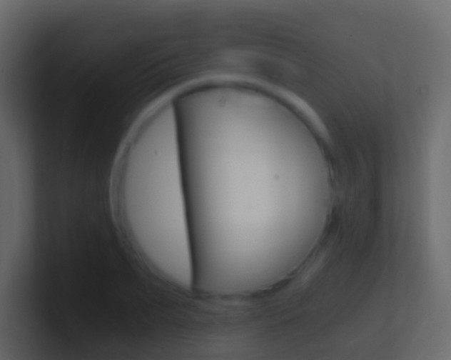 X0000101430887200807071003