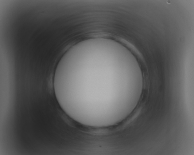 X0000101430889200807071003