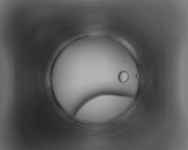 X0000101430891200807071003