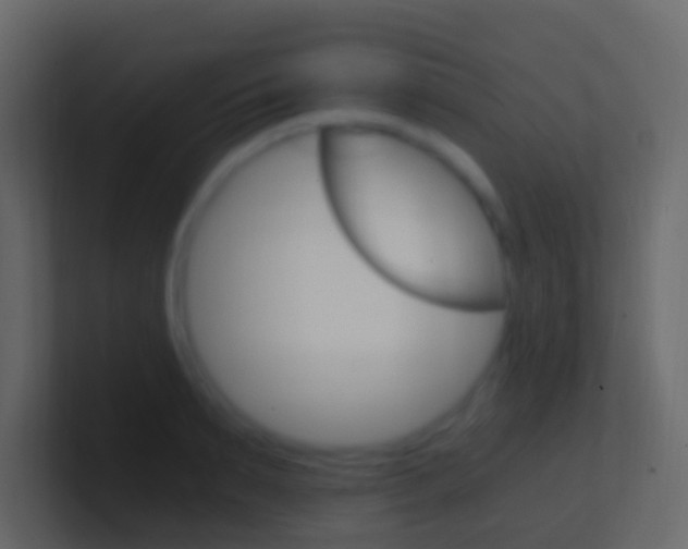 X0000101430895200807071003