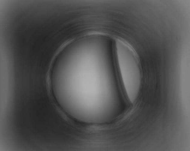 X0000101430898200807071003