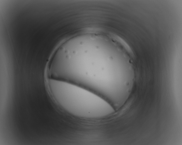 X0000101430899200807071003