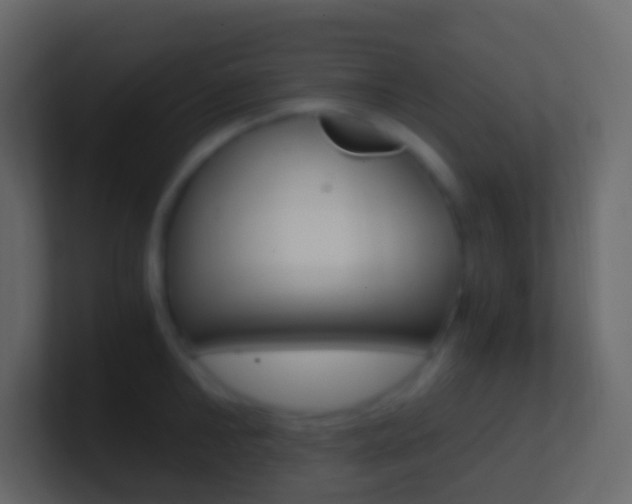 X0000101430902200807071003
