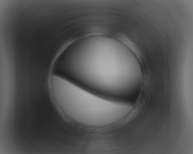 X0000101430906200807071003