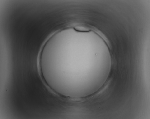 X0000101430909200807071002