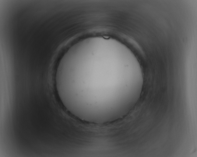 X0000101430920200807071002