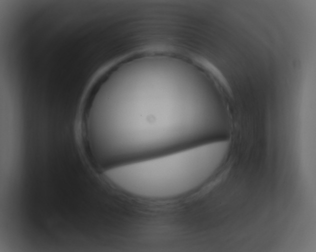 X0000101430928200807071002