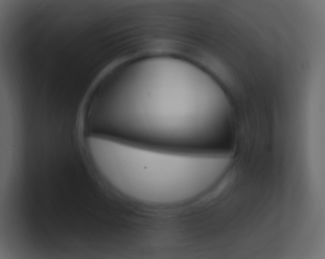 X0000101430934200807071002