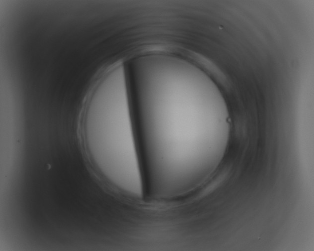X0000101430938200807071002