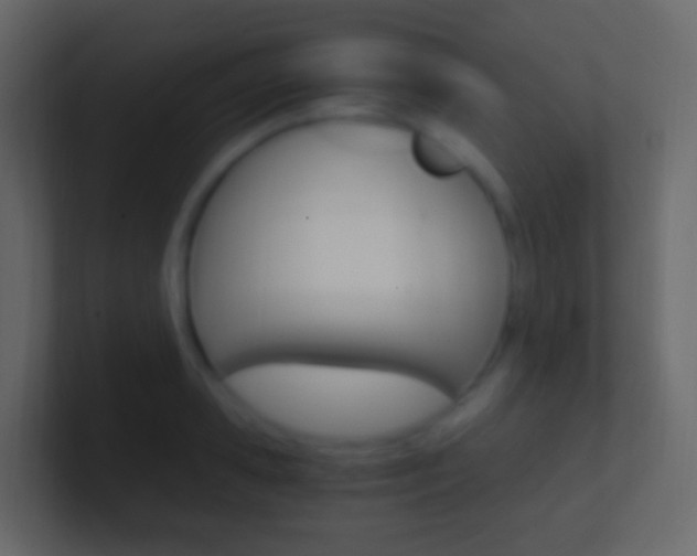 X0000101430941200807071002