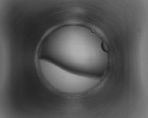 X0000101430942200807071002