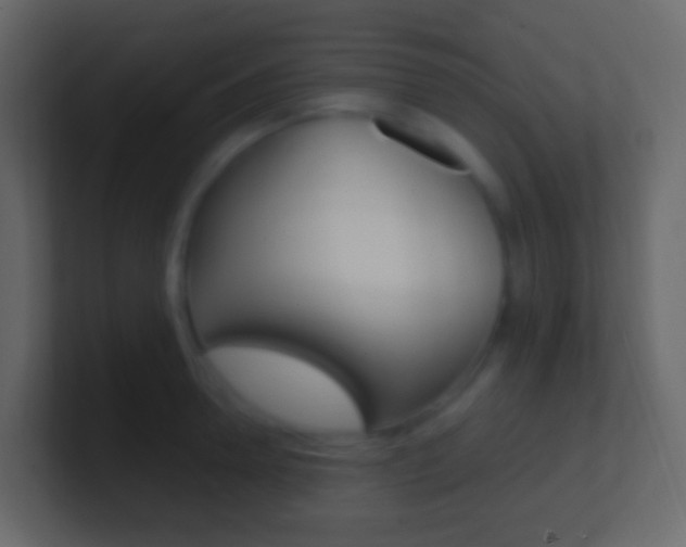 X0000101430946200807071002