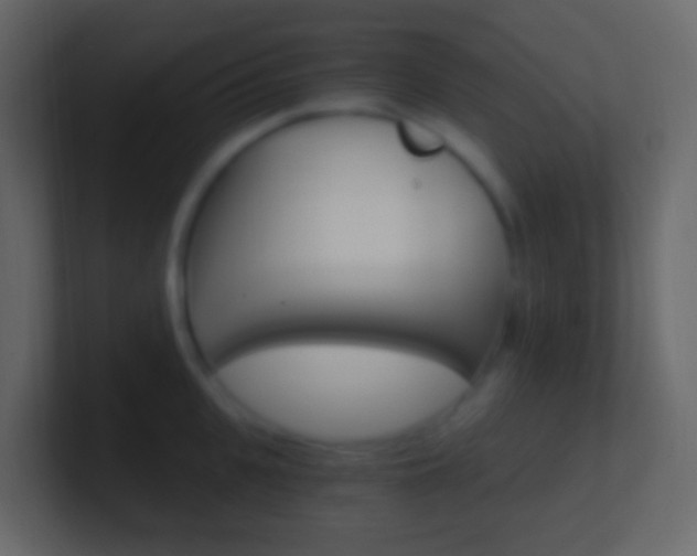 X0000101430951200807071002