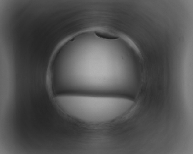 X0000101430952200807071002