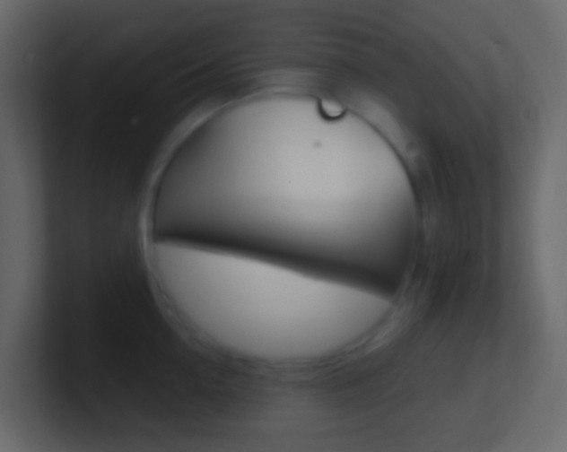 X0000101430954200807071002