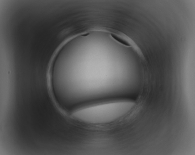 X0000101430955200807071002