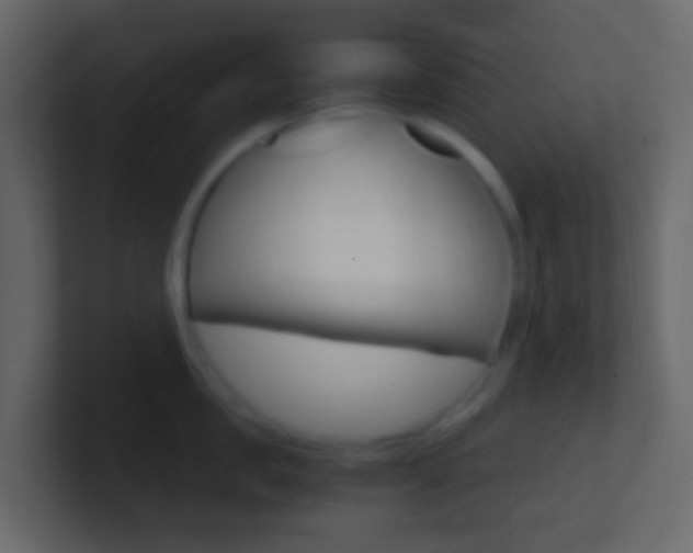 X0000101430957200807071002
