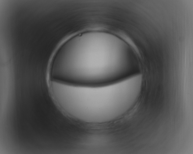 X0000101430959200807071002