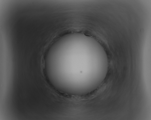 X0000101430961200807071002