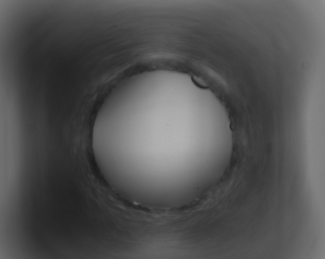 X0000101430965200807071002
