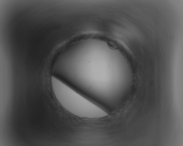 X0000101430967200807071002