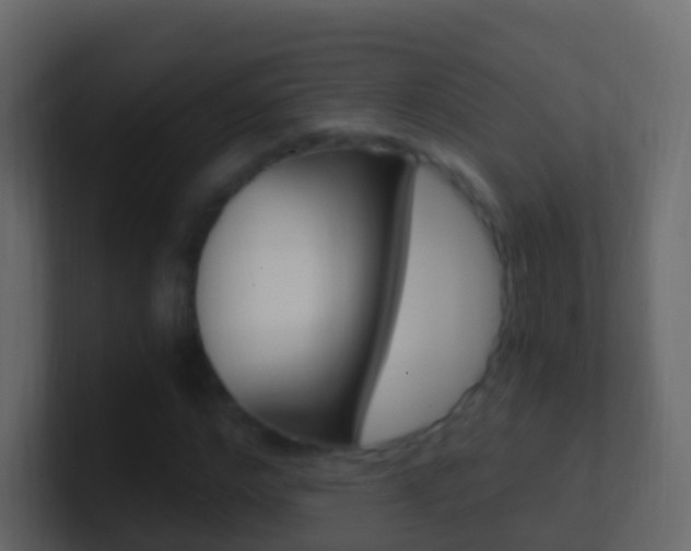 X0000101430968200807071002